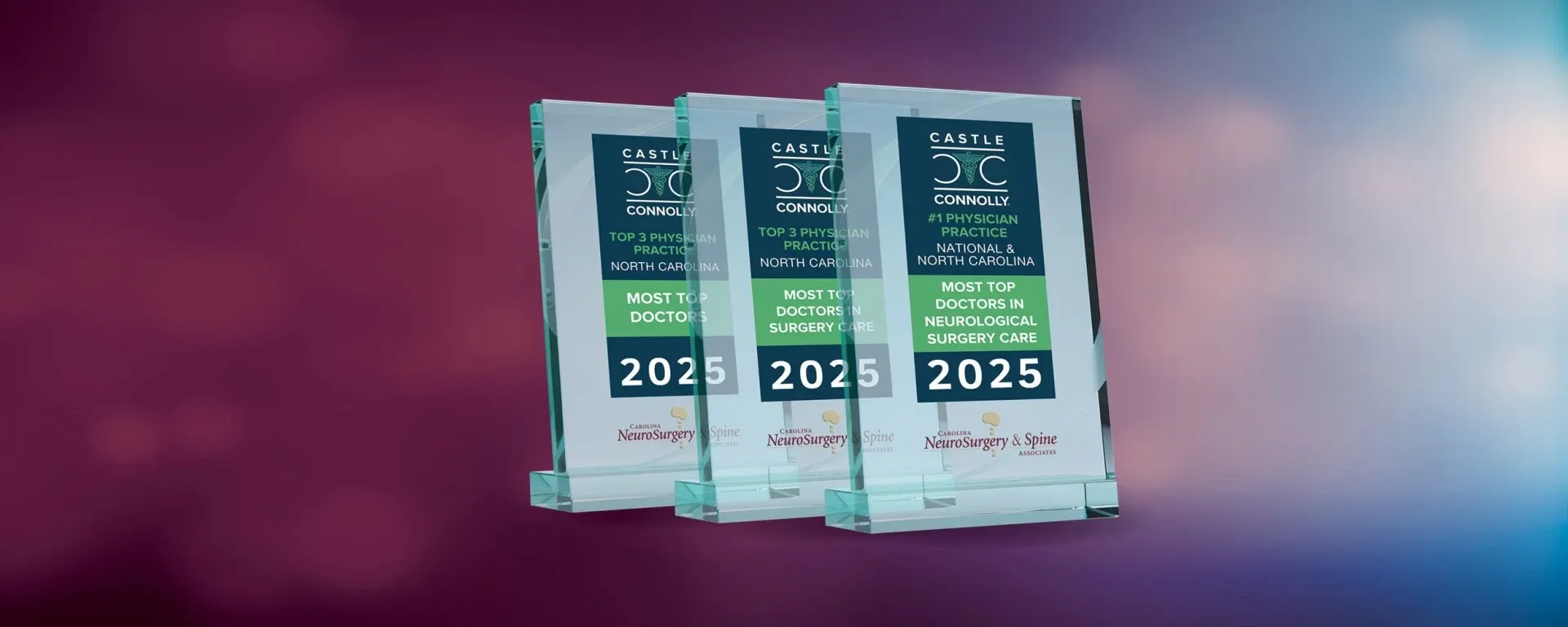 Awards for Nationally for Private Physician Practices in Neurological Surgery by Castle Connolly