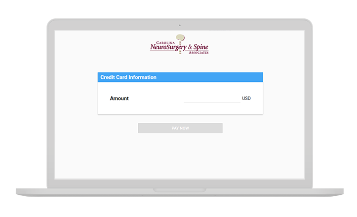 Example of CNSA Online Bill Pay Portal Example of CNSA Online Bill Pay Portal