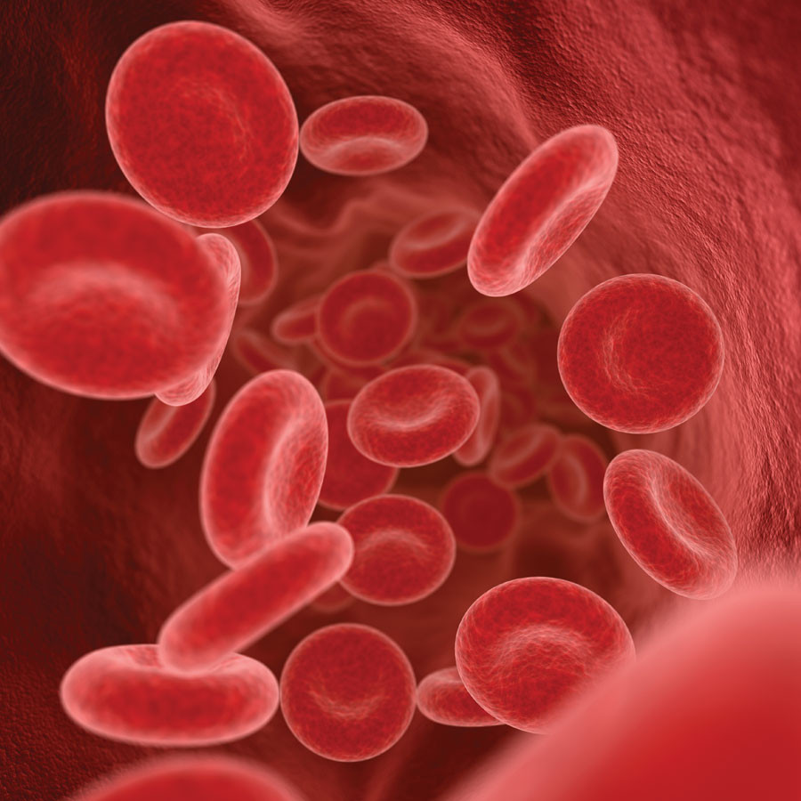 Platelet-Rich Plasma | Platelet Therapy | CNSA