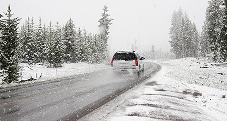 snowy day snowy day